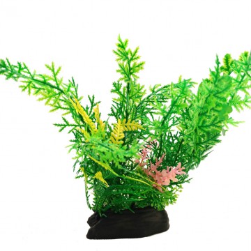 Фото1.Рослина, 8х5х18 см